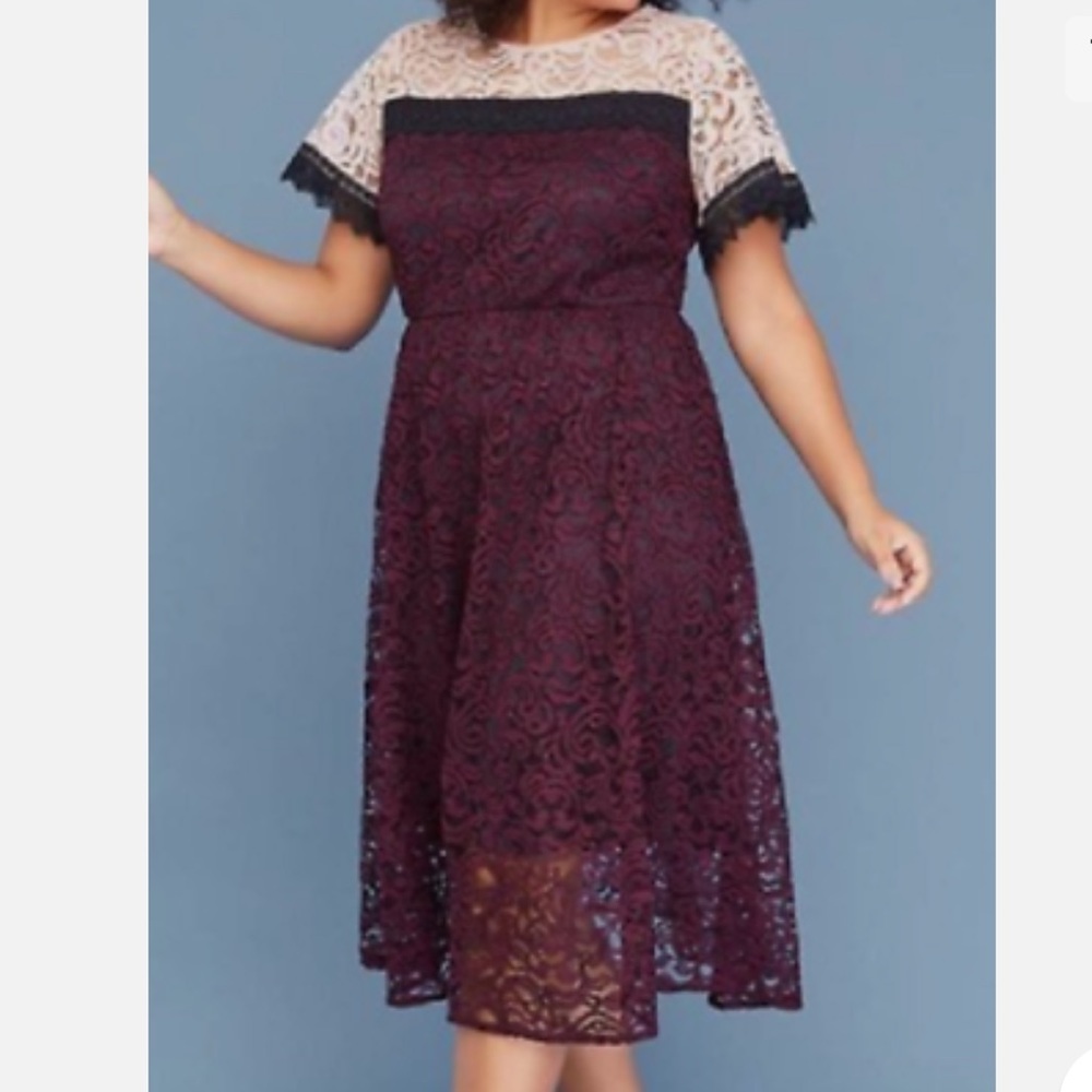 Lane Bryant Burgundy Lace Midi Dress with Cream Lace Yoke